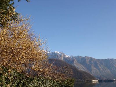 Il sogno dei versi