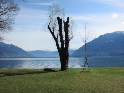 Per il tuo cielo