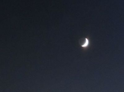 La notte delle stelle cadenti