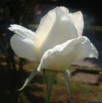 Ci aspetta