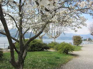 Al Sole