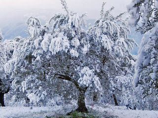 Se nevica a Aprile