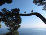 All'amica che legge
