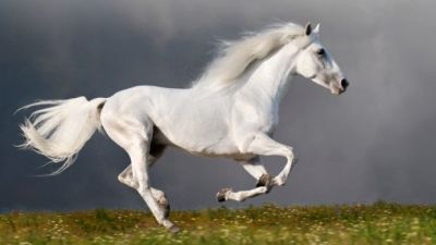 Esorcismo d�amore