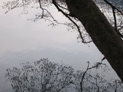 Nell�acqua