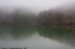 Tra la nebbia  