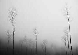 Nebbia a Valle