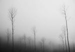 Nebbia a Valle