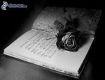 Petali d'amore