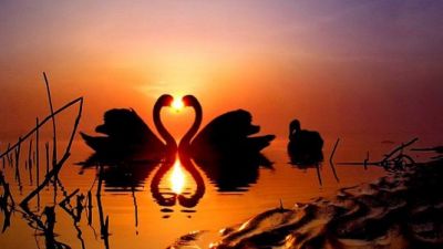 Solo per amore