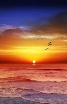 Al tramonto dei miei giorni