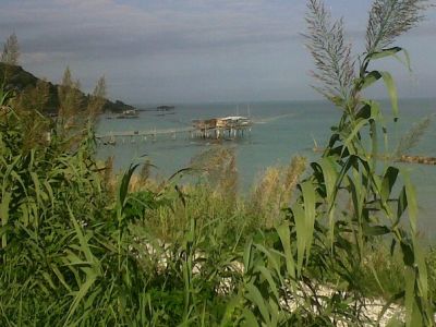 Sud