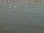 Quattro volte rimbalz� il sasso nel mare