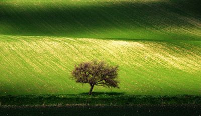 Una terra misteriosa