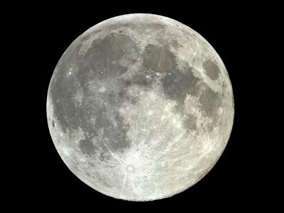 La luna sul salice