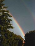 Viso sferzato da pioggia di primavera
