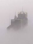 Nella nebbia