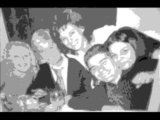 My family figure
