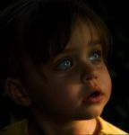 La luce delle Stelle