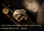 Il lanciatore di coltelli