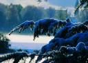 Tra i fiocchi di neve