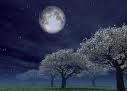 Al giunger della notte