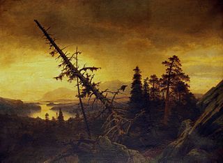 The Last Rose of Summer - Impeto e Tempesta