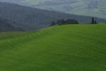 Poggio alle Croci