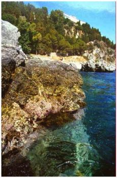 Terra di passione