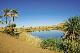 Come il deserto