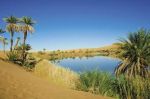 Come il deserto