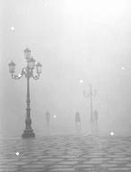 Rinasce il silenzio  