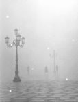 Rinasce il silenzio  