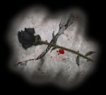 Amore e disamore