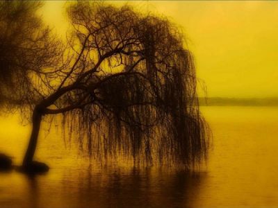Dove il lago finisce
