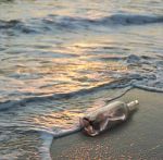 Passione d�amore