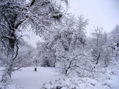 L�inverno