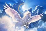 Tra realt� e sogno