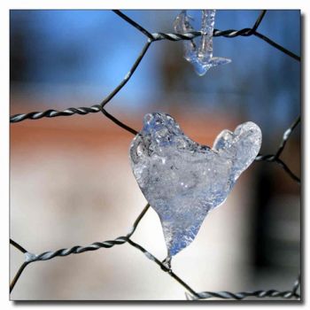 Cuore
