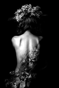 Equilibrio del corpo