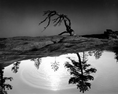 L�infinit� del tempo