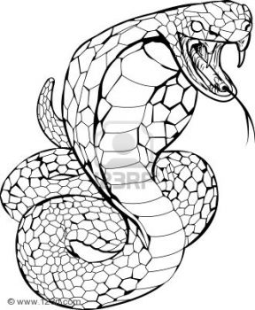 Ho visto un cobra