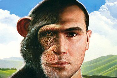 Uomo