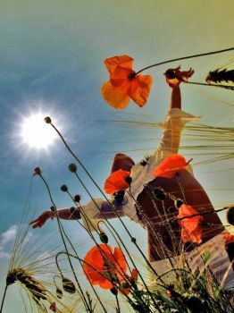 Il sole dentro