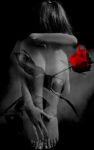 D'anemone mirtillo e rose rosse