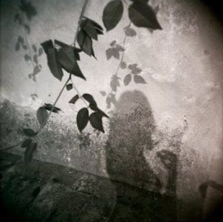 Passaggi di vento