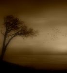 All'improvviso il cielo