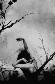 Il rumore del cielo