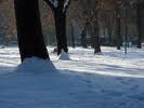 Di neve vestita