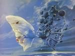 Lungo lo steccato dell'amore